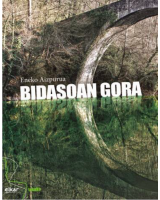 Bidasoan gora