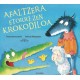 Afaltzera etorri zen krokodiloa