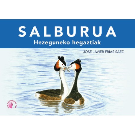 Salburua - Hezeguneko hegaztiak