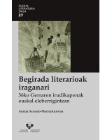 Begirada literarioak iraganari. - 36ko gerraren irudikapenak euskal eleberrigintzan