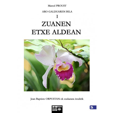 Aro galduaren bila I  -  Zuanen etxe aldean